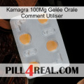 Kamagra 100Mg Gelée Orale Comment Utiliser 24